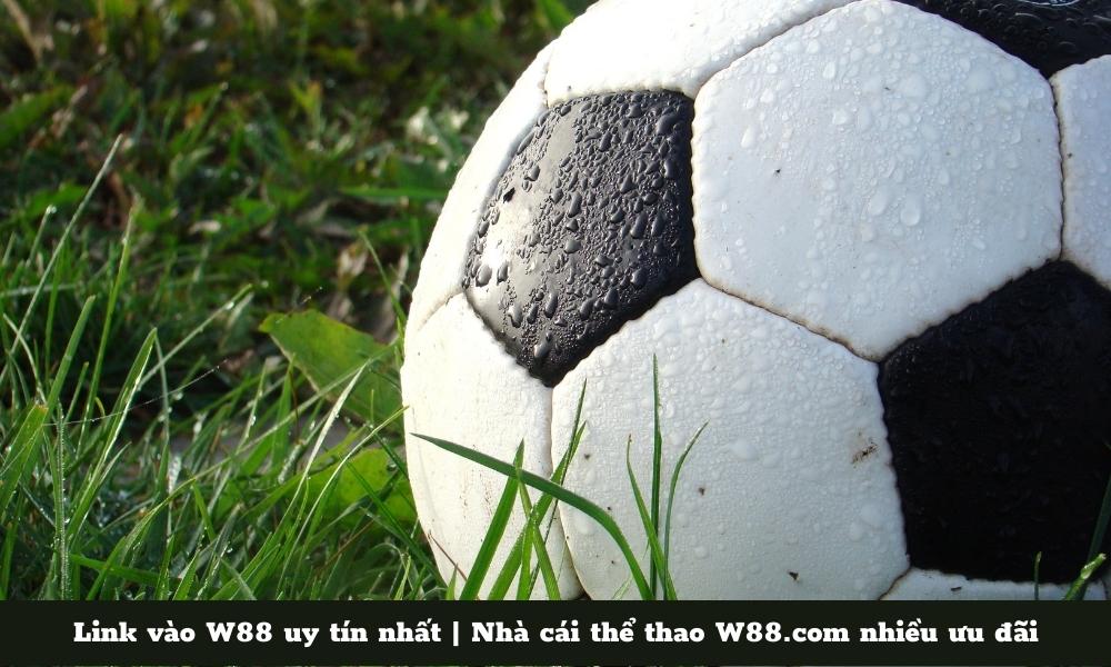 Link vào W88 uy tín nhất | Nhà cái thể thao W88.com nhiều ưu đãi